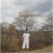 Enseñanza personalizada para niños de primo, secuandaria