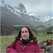 Clases de física, matemáticas, química e inglés, tanto online como presenciales