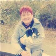 English tutor teaches all ages. Experienced in supporting neurodiverse and disabled learners