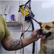 Las matemáticas son simples cómo sacitámetam sal Sólo tenemos que ver las cosas de diferente forma °u°