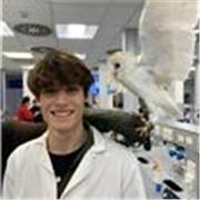 Lessons at GCSE and A level to help children perform to their maximum ability