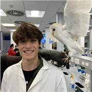 Lessons at GCSE and A level to help children perform to their maximum ability