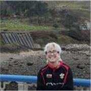 Estudiante de filología inglesa con experiencia ofrece clases