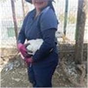 Clases online sobre temas de las ramas de biología, química, física. Apoyo en duda