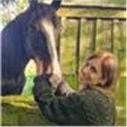 Insegnante di italiano per stranieri, lezioni personalizzate online