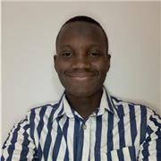 Bambo