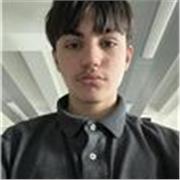 I would like to aim my lessons at students in which already have a pretty good understanding of mathematics