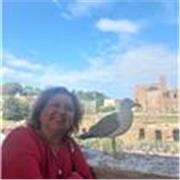 Profesor particular a domicilio. Todas las asignaturas. Lecto-escritura, matemáticas, inglés de primero a octavo basico