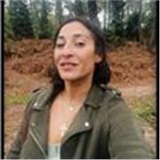 Professeur anglais tous niveaux