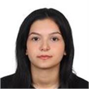 Experienced English tutor offering engaging online lessons for adults and students in Istanbul
