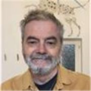 Native English Teacher for Adults, Conversation and Fluency