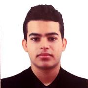 Profesor en las áreas de matemática, física y química para todas las edades