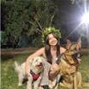 Offro lezioni private da remoto a ragazzi di scuola primaria e secondaria