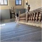 RIPETIZIONI / AIUTO COMPITI tutti i gradi scolastici