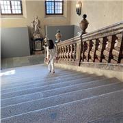 RIPETIZIONI / AIUTO COMPITI tutti i gradi scolastici