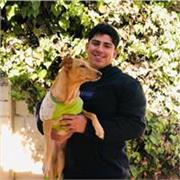 Profesor de matematicas,fisica y quimica para primaria y secundaria