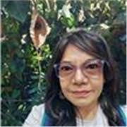 Te guío en el aprendizaje del español a través de la cultura, la música, las experiencias