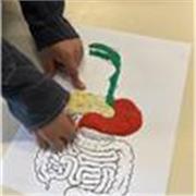 Professeur certifiée. Expériences en France et à l'étranger. 