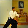 Profesor de aikido y psicólogo ... clases todas las edades... aikido