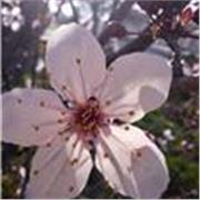 Profesora de primaria, matemáticas, lengua e inglés, soy estudiante de bachillerato.