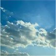 Profesora de filosofía se ofrece para enseñarza