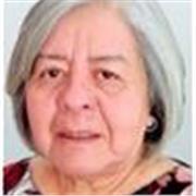 Profesor Universitario especializado en Historia y Teoría del Arte, de la Arquitectura y el Diseño