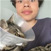 Im a creative person who aims to help primary school children with maths