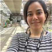 am a Cambridge CELTA-qualified teacher, teaching English as a second language to all ages.