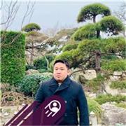 English tutor with law and business management degrees