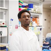 Experienced tutor offering online GCSE lessons, based in Weston-super-Mare, with 3+ years of helping students achieve top grades