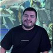 Programación, Desarrollo Web y Bases de Datos | Clases Online