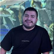 Programación, Desarrollo Web y Bases de Datos | Clases Online