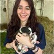 Hai bisogno di ripetizioni di italiano o di aiuto compiti? Sono la persona giusta per te!