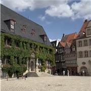 Profesor de Biología de todos los niveles y edades.