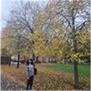 Bilingual (EN/CN) freelancer based in UK. Patient Chinese tutor & copywriter. Ready for remote roles 2-3 days/wk. High quality out