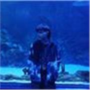 Soy un chicho universitario que, que busca ayudar a otros a obtener un mejor rendimiento y a ver lo divertido de los estudios.