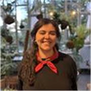 Native-level English tutor for people of all ages and backgrounds!