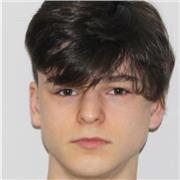 I give private lessons tailored to your level.