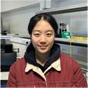 Online Chinese tutor offering private Mandarin lessons for beginners, students, and adults.