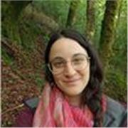 Acompaño en el aprendizaje del español