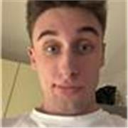 Offro ripetizioni individuali online o presenziali per sostegno nello svolgimento dei compiti