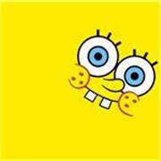 Studente con certificato FCE FIRST B2, lezioni online o presenza