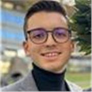 Studente di Ingegneria offre ripetizioni di Matematica e Fisica per Medie e Superiori