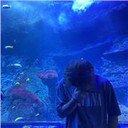 3e année Double Licence Economie Gestion - Professeur polyvalent