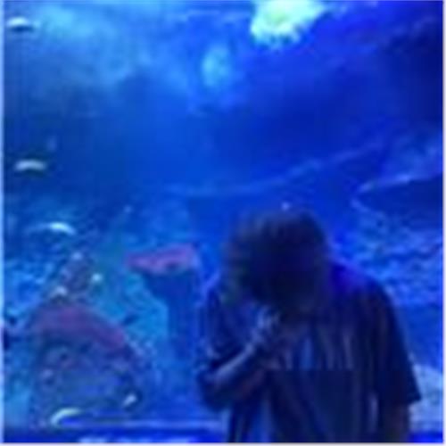 user photo