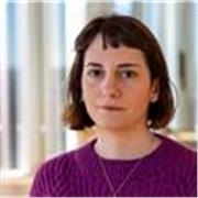 Experienced, supportive educator for students of all levels