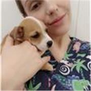 veterinary surgeon with bachelor and masters