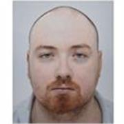 Professeur particulier en Anglais niveau Primaire à Collège 