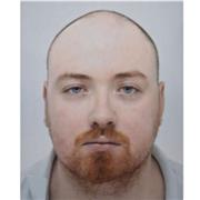 Professeur particulier en Anglais niveau Primaire à Collège