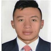 Profesor de tecnologia y/o informatica